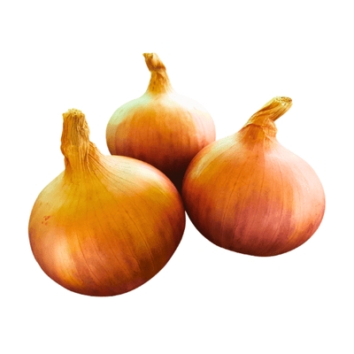 Onion (بصل)