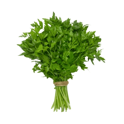 Parsley (بقدونس)