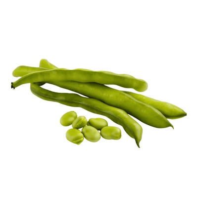 Broad Beans (فول اخضر)