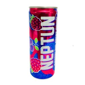 Neptun Saprking Fruit Drink 250 ML