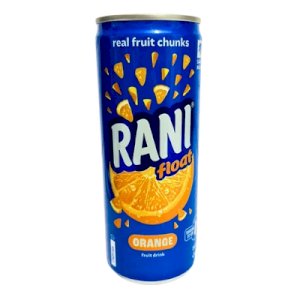 Rani Float Orange Fruit Drink 240Ml