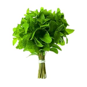 Mint (نعنع)