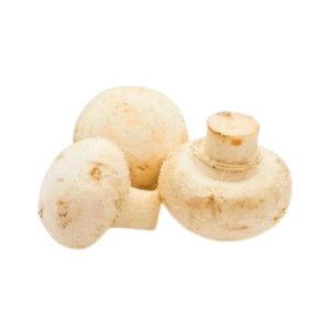 Mashroom (فطر فلت)