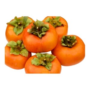 Kharma (خرما)